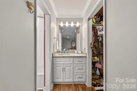 a bathroom with a granite countertop sink a vanity and a shower
