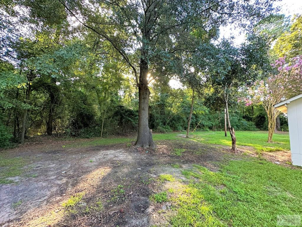 367 Hicks Road Coward, SC 29530 - Photo 11 of 43 Gallery Image 11