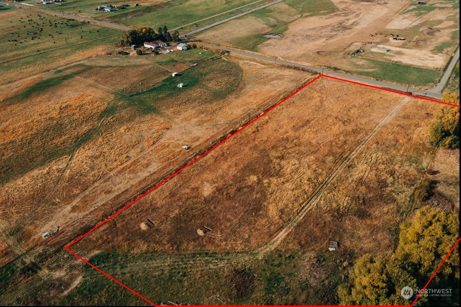 550 Watson Road Ellensburg, WA 98926 - Photo 2 of 27 Gallery Image 2