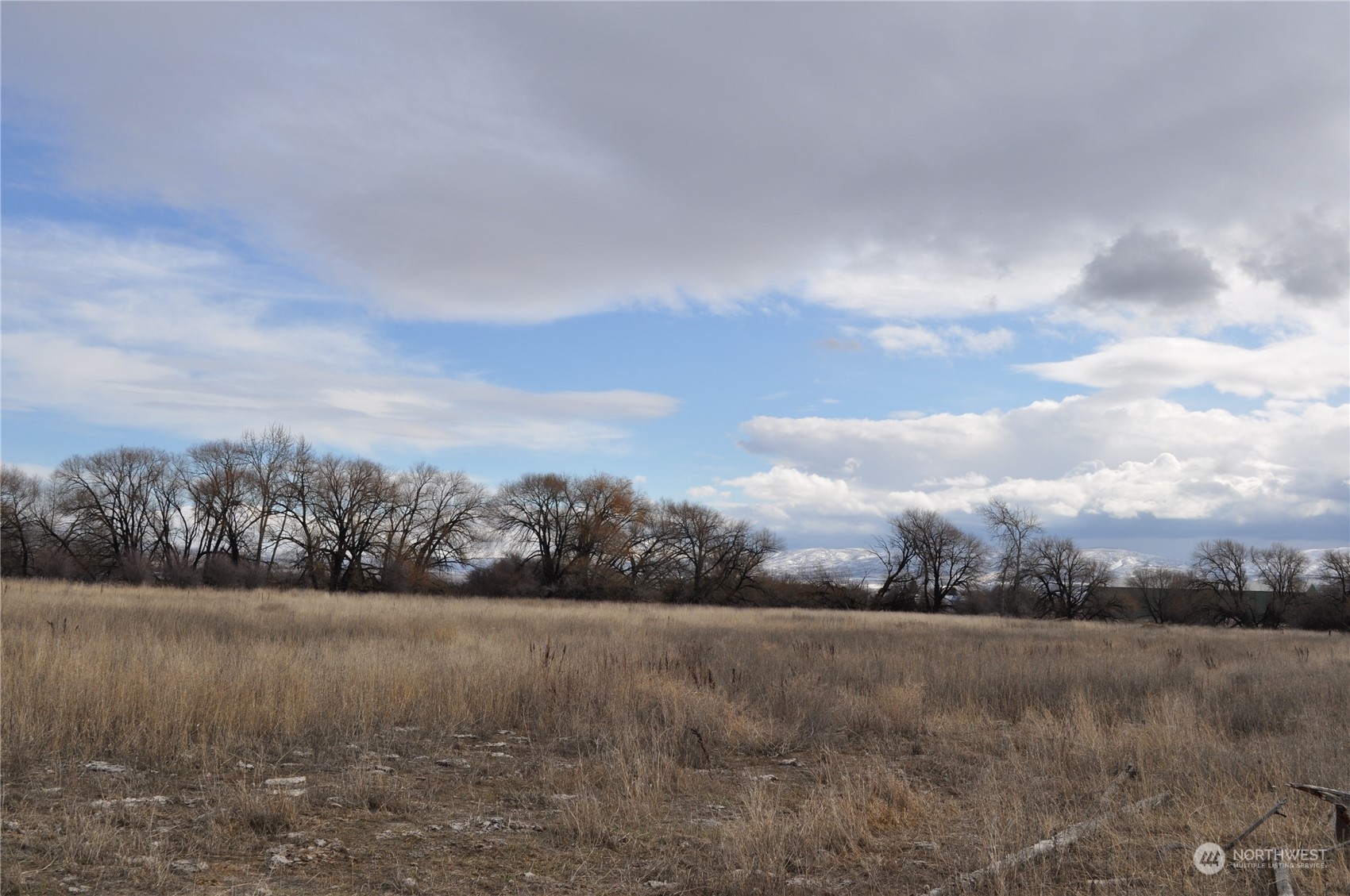 550 Watson Road Ellensburg, WA 98926 - Photo 27 of 27 Gallery Image 27