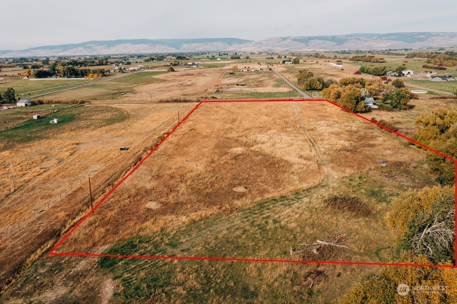 550 Watson Road Ellensburg, WA 98926 - Photo 3 of 27 Gallery Image 3