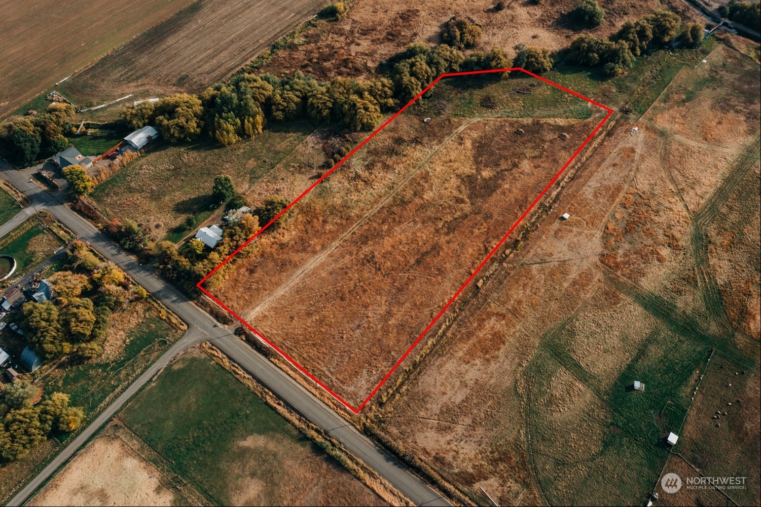 550 Watson Road Ellensburg, WA 98926 - Photo 4 of 27 Gallery Image 4
