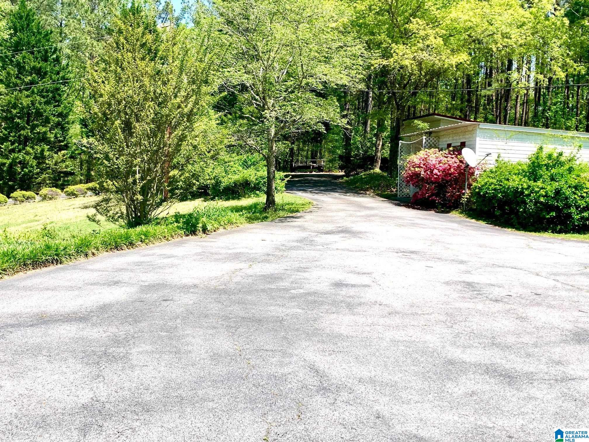 788 River Road Heflin, AL 36264 - Photo 15 of 47