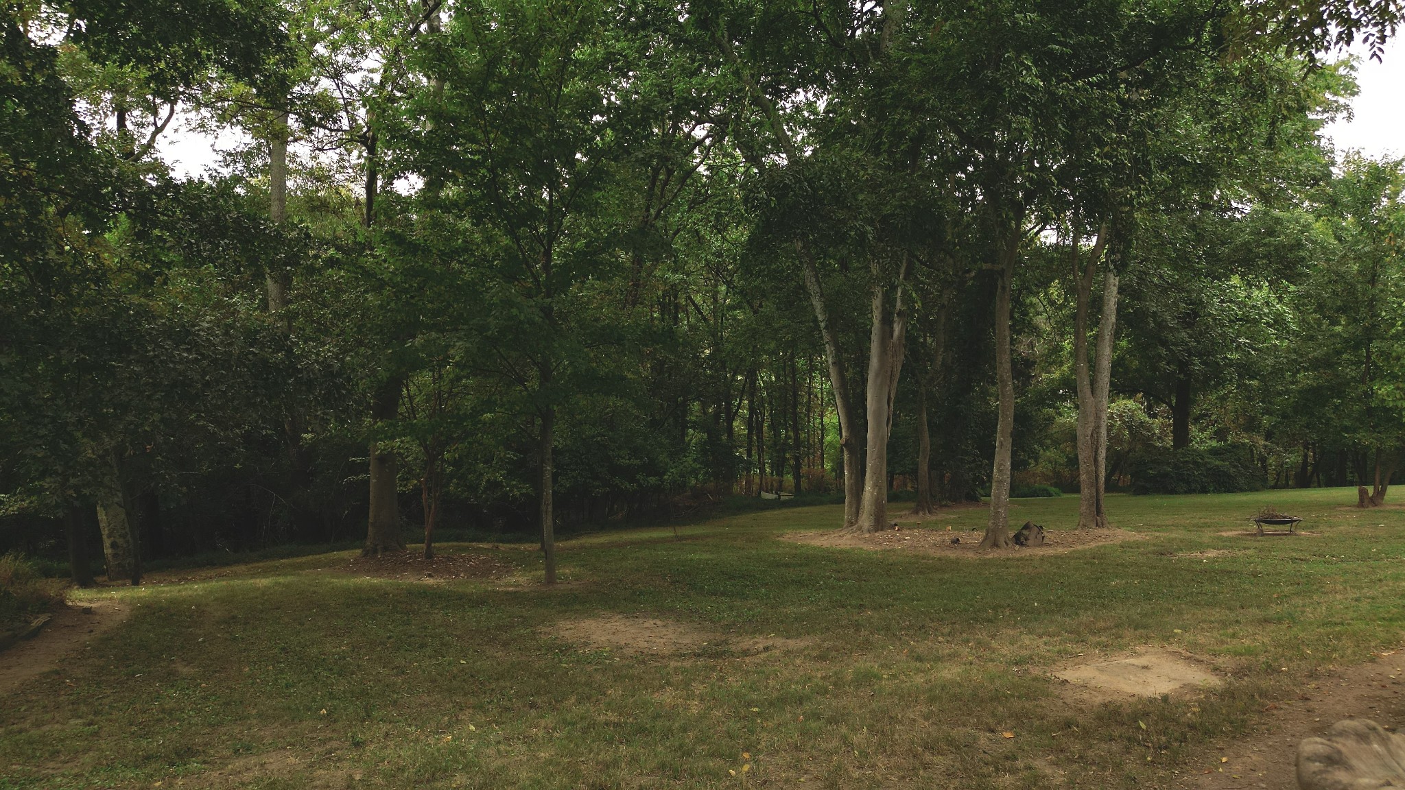 1809 Hidden Ridge Circle Mount Juliet, TN 37122 - Photo 42 of 45 a view of a park