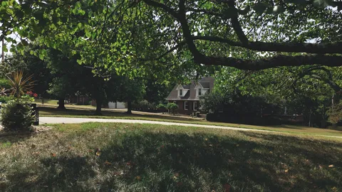 a view of a playground with basketball court