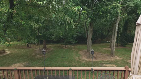 a backyard of a house with lots of green space