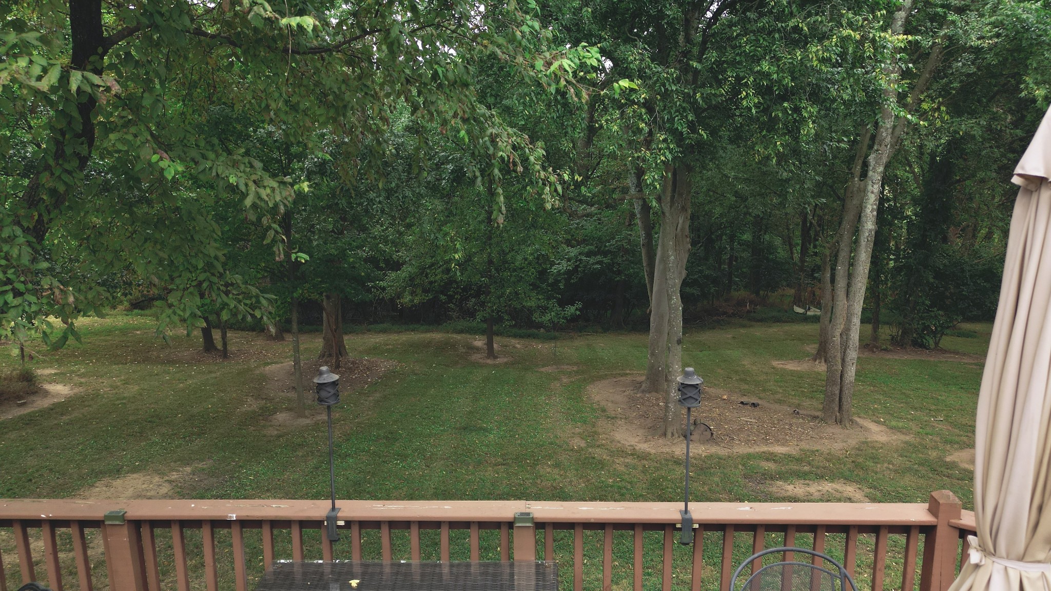 1809 Hidden Ridge Circle Mount Juliet, TN 37122 - Photo 44 of 45 a backyard of a house with lots of green space