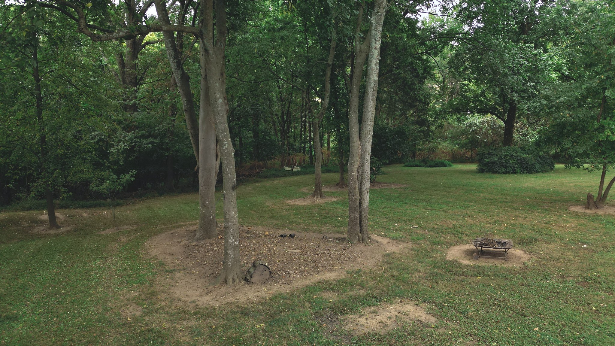 1809 Hidden Ridge Circle Mount Juliet, TN 37122 - Photo 45 of 45 a view of a forest