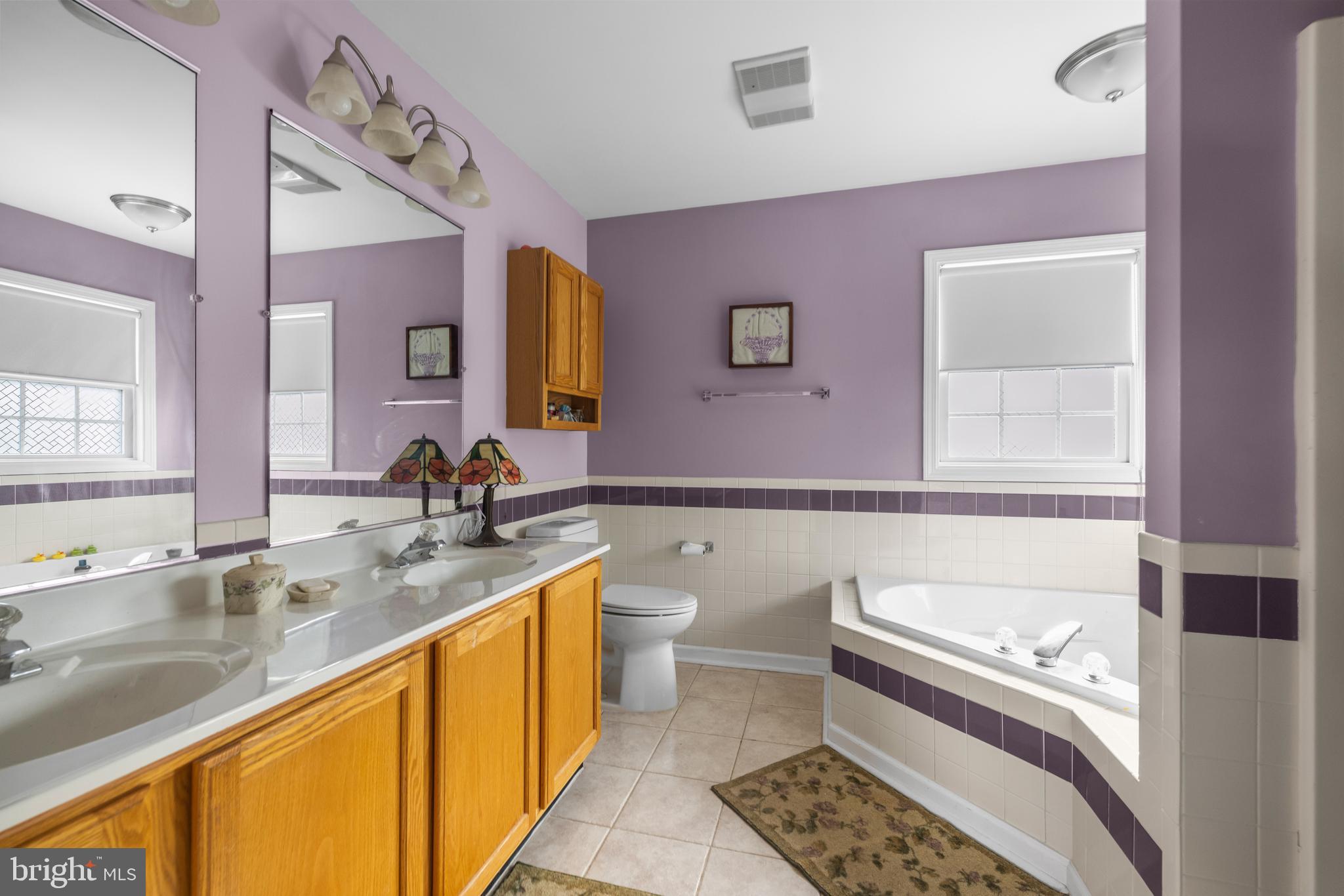 503 Starnes Road Romney, WV 26757 - Photo 27 of 41 Primary bathroom