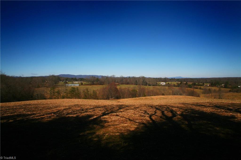 742 Murray Road Elkin, NC 28621 - Photo 1 of 14 Views of Blue Ridge Mountains