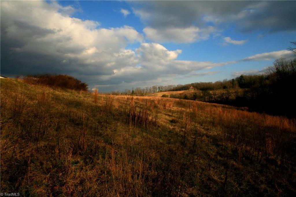 742 Murray Road Elkin, NC 28621 - Photo 4 of 14 25.3 acres of terraced land with north, south, east, west exposure; ideal for vineyard and growing grapes.