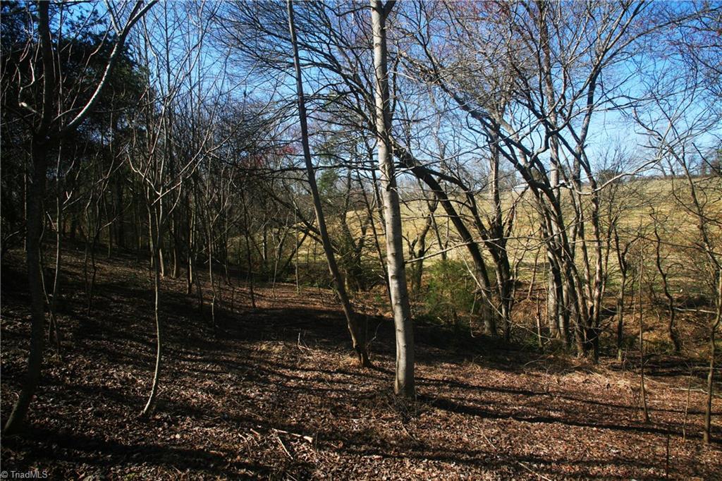 742 Murray Road Elkin, NC 28621 - Photo 5 of 14 Wooded area