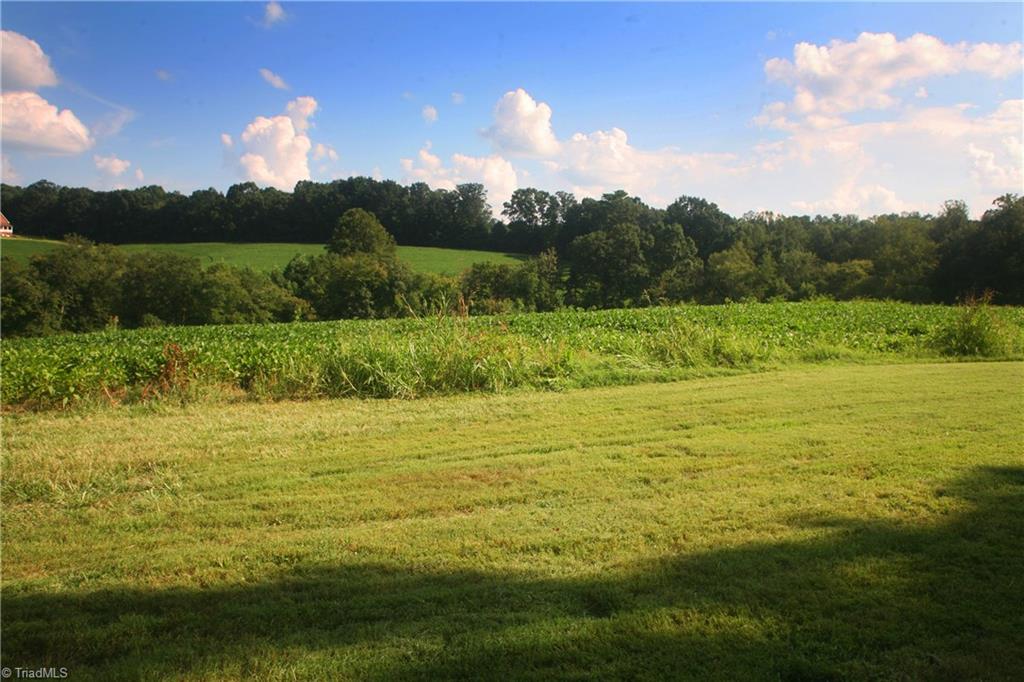 742 Murray Road Elkin, NC 28621 - Photo 6 of 14 Scenic country side views and some mountain views.