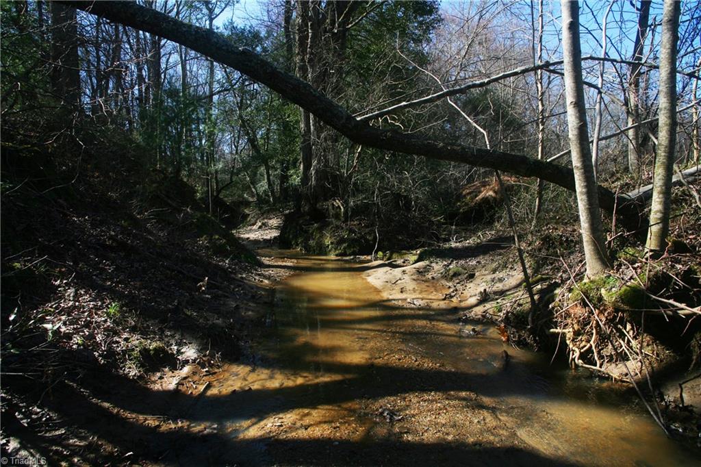 742 Murray Road Elkin, NC 28621 - Photo 7 of 14 Creek