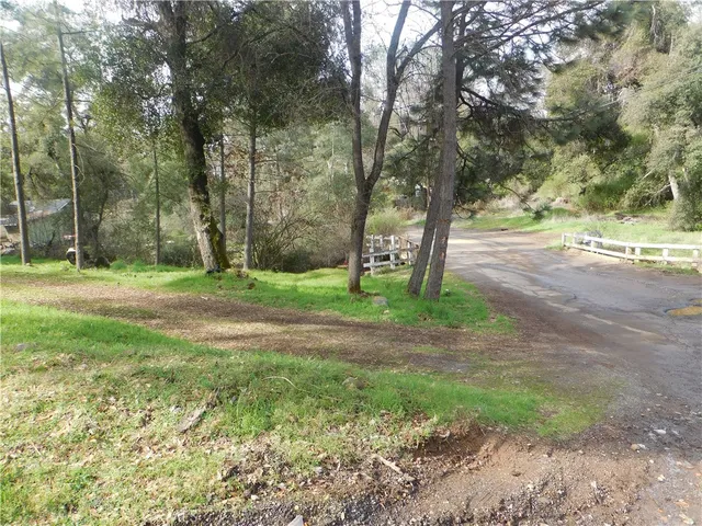 a view of a park with large trees