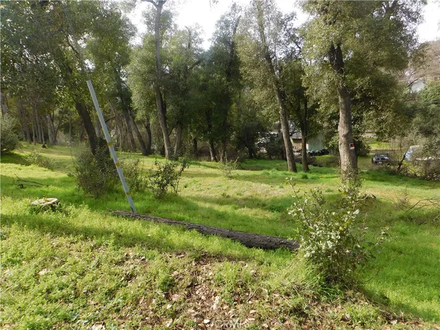 a big yard with lots of green space and deers