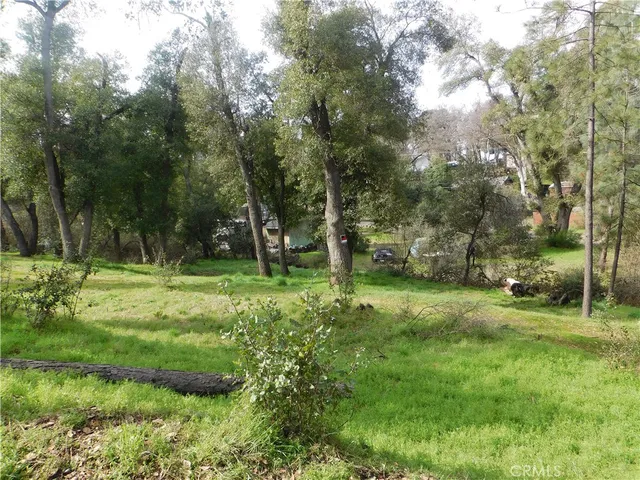 a view of a park with large trees