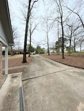 a street view with large trees
