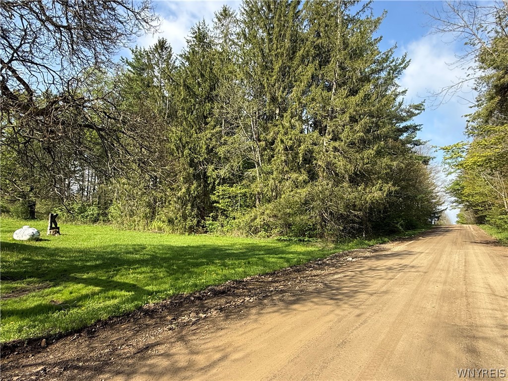4083 Closser Road Allen, NY 14709 - Photo 18 of 36