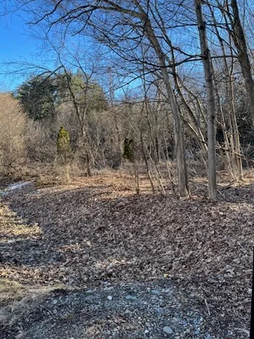 a view of a yard with a tree