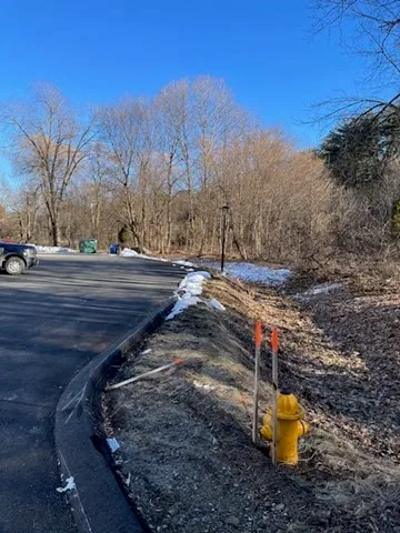 a view of a backyard of a house