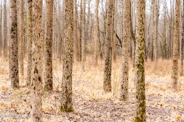 a view of a wooden door