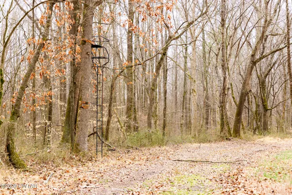 a view of outdoor space with trees