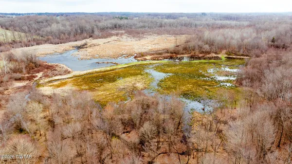 a view of a yard with trees