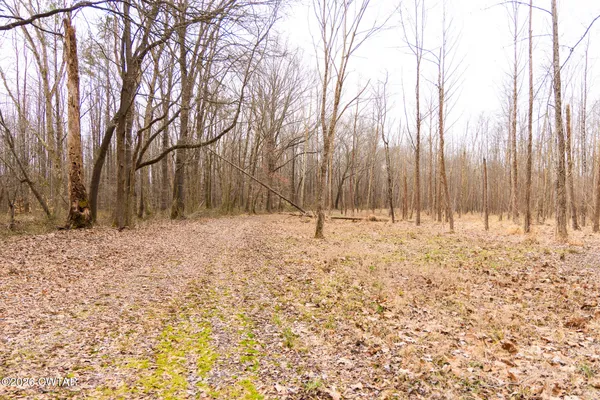 a view of a large window with a small yard