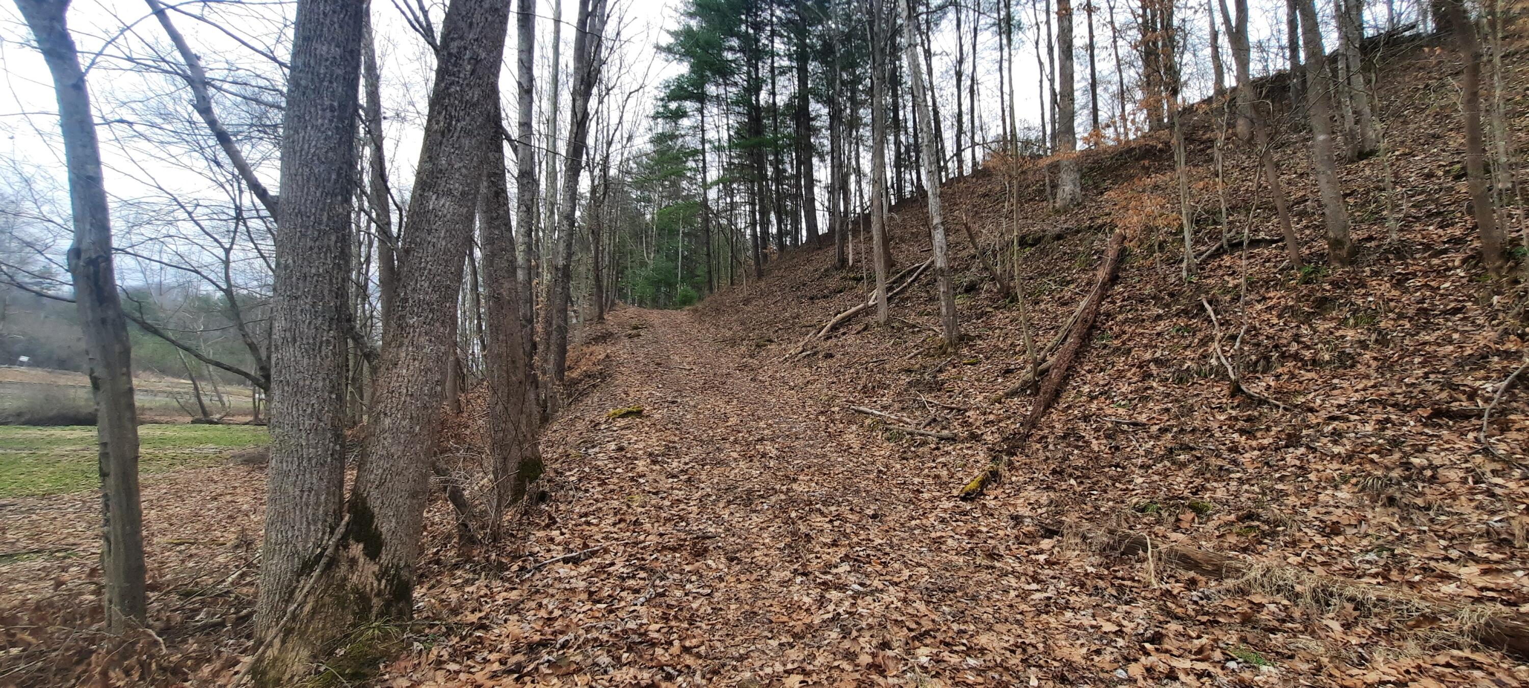 2135 Urban Creek Road Manchester, KY 40962 - Photo 47 of 81 20240227_140546