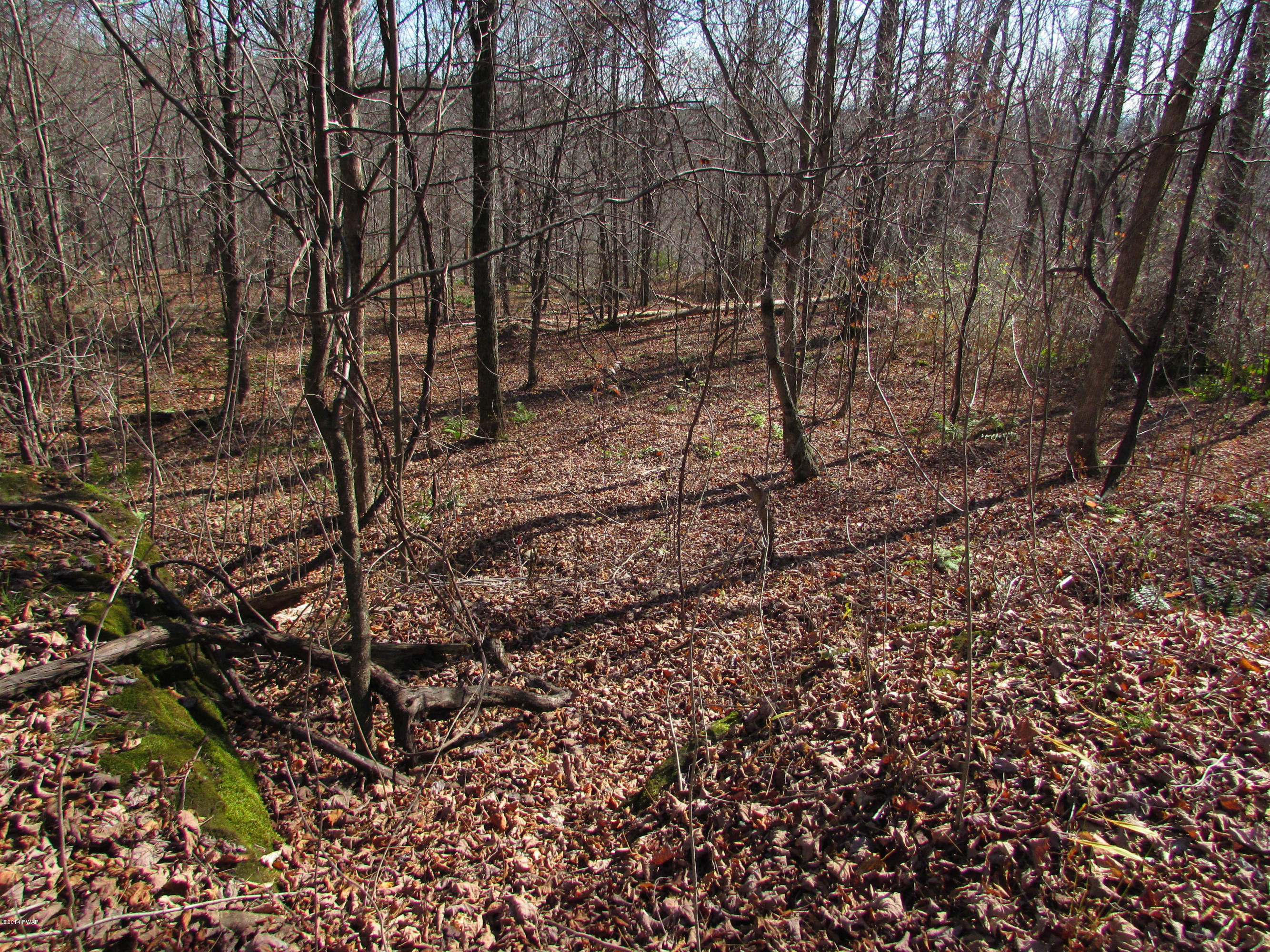 Flat Rock Road Tyler Hill, PA 18469 - Photo 1 of 4