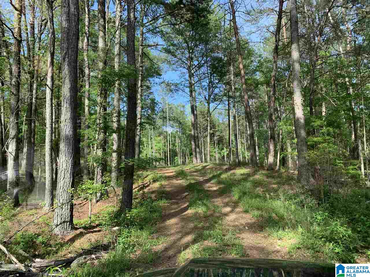 1585 Rex Lake Road, Unit 1585 Leeds, AL 35094 - Photo 14 of 16