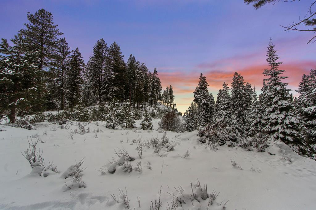 16 Sarah Way, Unit 18 Cascade, ID 83611 - Photo 1 of 18 Main View