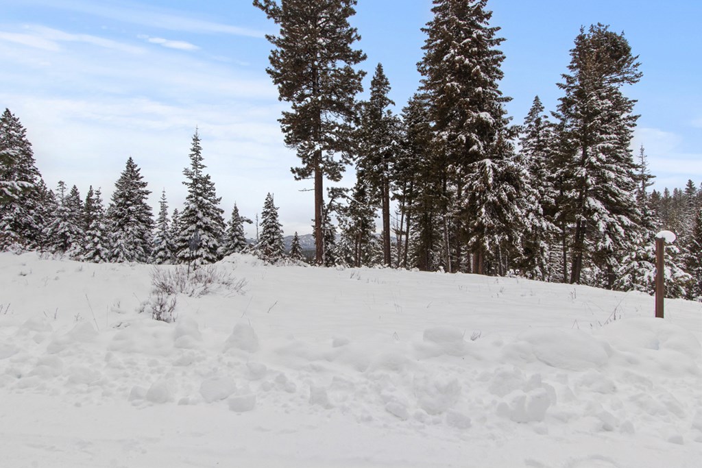 16 Sarah Way, Unit 18 Cascade, ID 83611 - Photo 11 of 18 Front of Lot