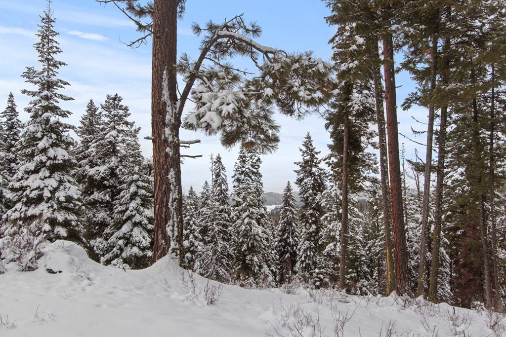 16 Sarah Way, Unit 18 Cascade, ID 83611 - Photo 2 of 18 Mature Pines and Firs