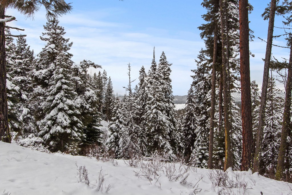 16 Sarah Way, Unit 18 Cascade, ID 83611 - Photo 3 of 18 Valley Views Below