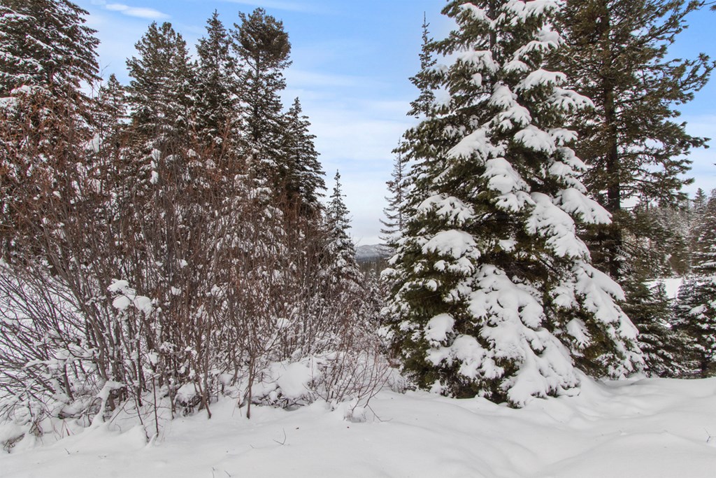 16 Sarah Way, Unit 18 Cascade, ID 83611 - Photo 4 of 18 Thin Trees to Open Up Magnificent Views