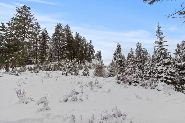 $165,000 | 16 Sarah Way, Unit 18, Cascade, ID 83611