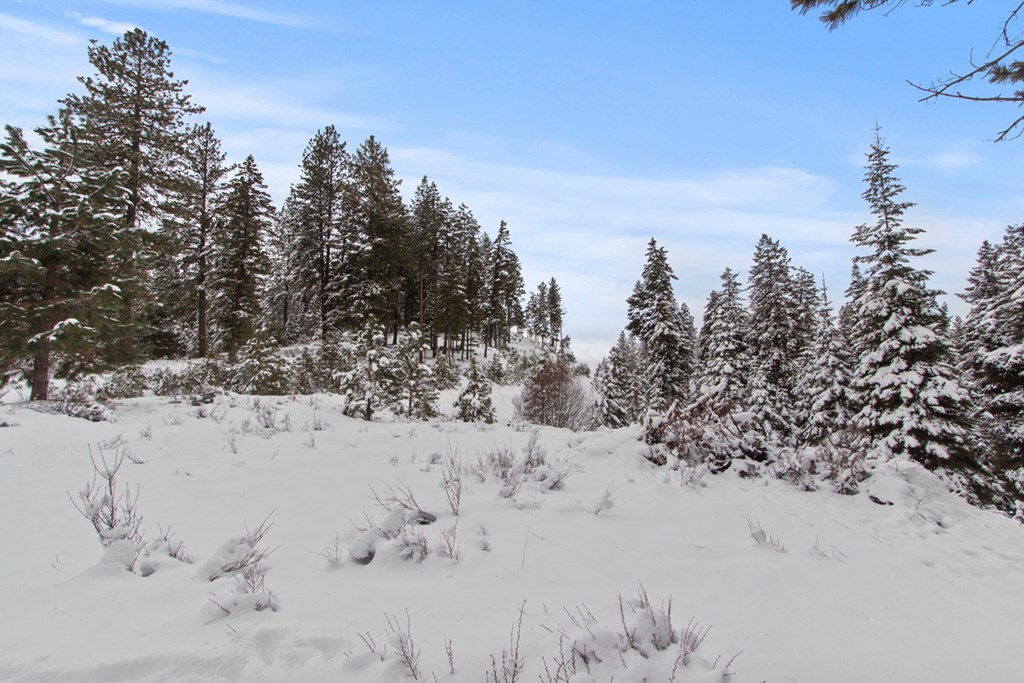 16 Sarah Way, Unit 18 Cascade, ID 83611 - Photo 5 of 18 Lots of Room To Build