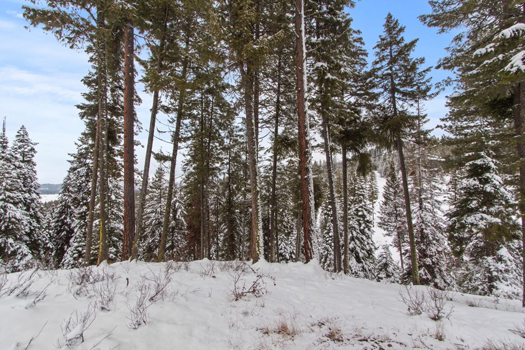 16 Sarah Way, Unit 18 Cascade, ID 83611 - Photo 6 of 18 Drainage and Valley Below
