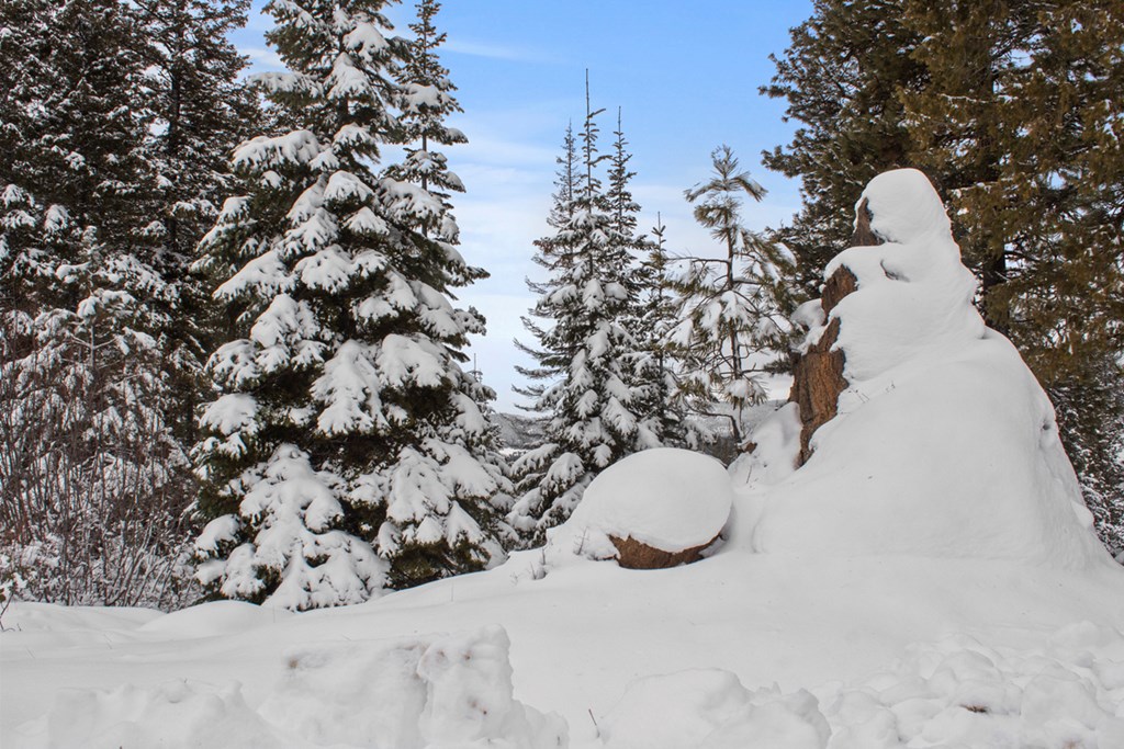 16 Sarah Way, Unit 18 Cascade, ID 83611 - Photo 7 of 18 Large Boulders Near End of Building Page