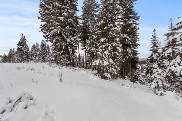 $145,000 | 16 Sarah Way, Unit 18, Cascade, ID 83611