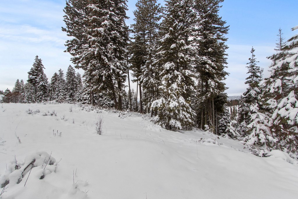 16 Sarah Way, Unit 18 Cascade, ID 83611 - Photo 8 of 18 Looking Northwest