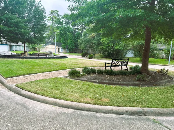 a view of a park with bench and trees
