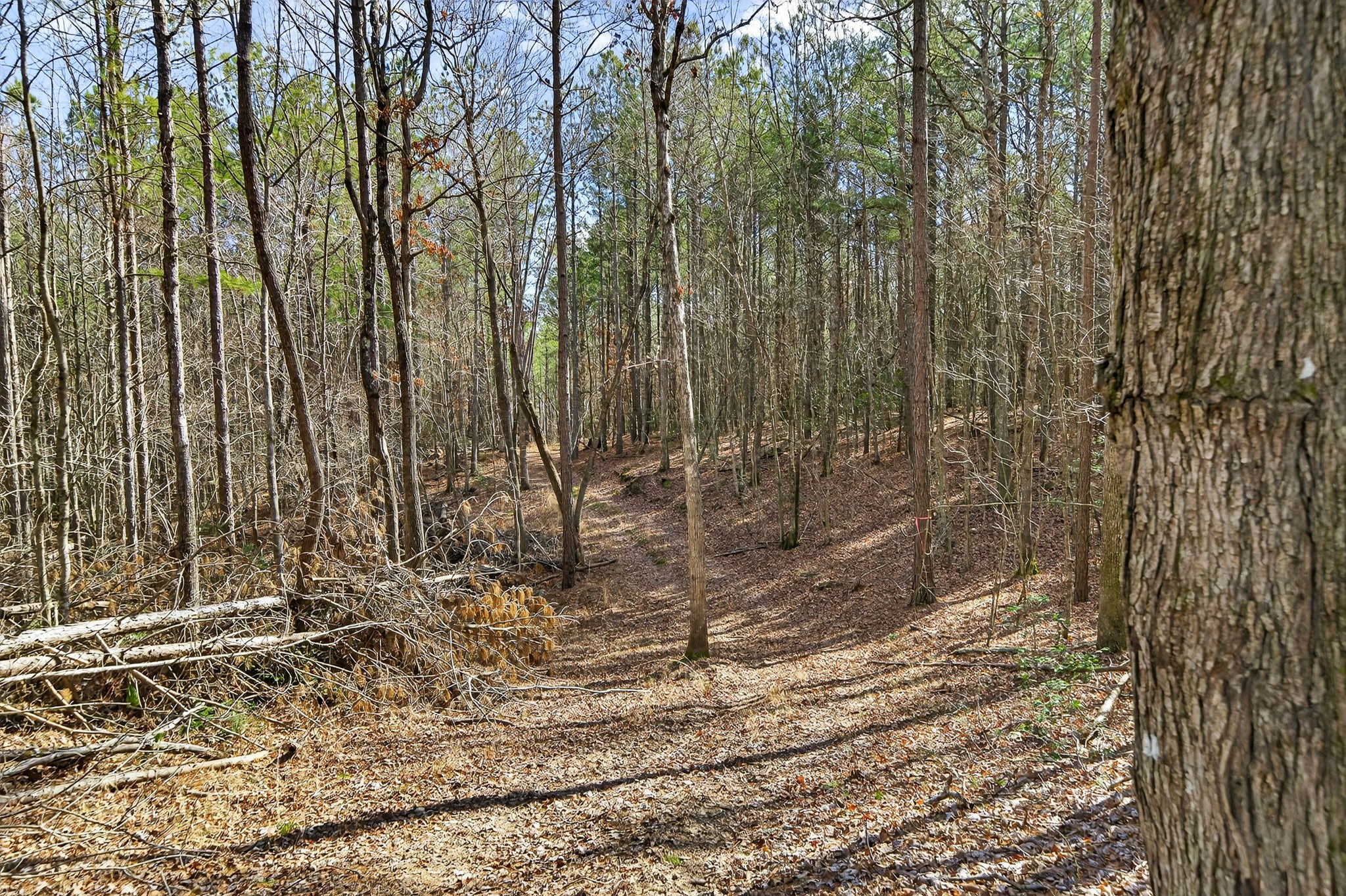1780 Wolfhaven Road Spencer, TN 38585 - Photo 29 of 33