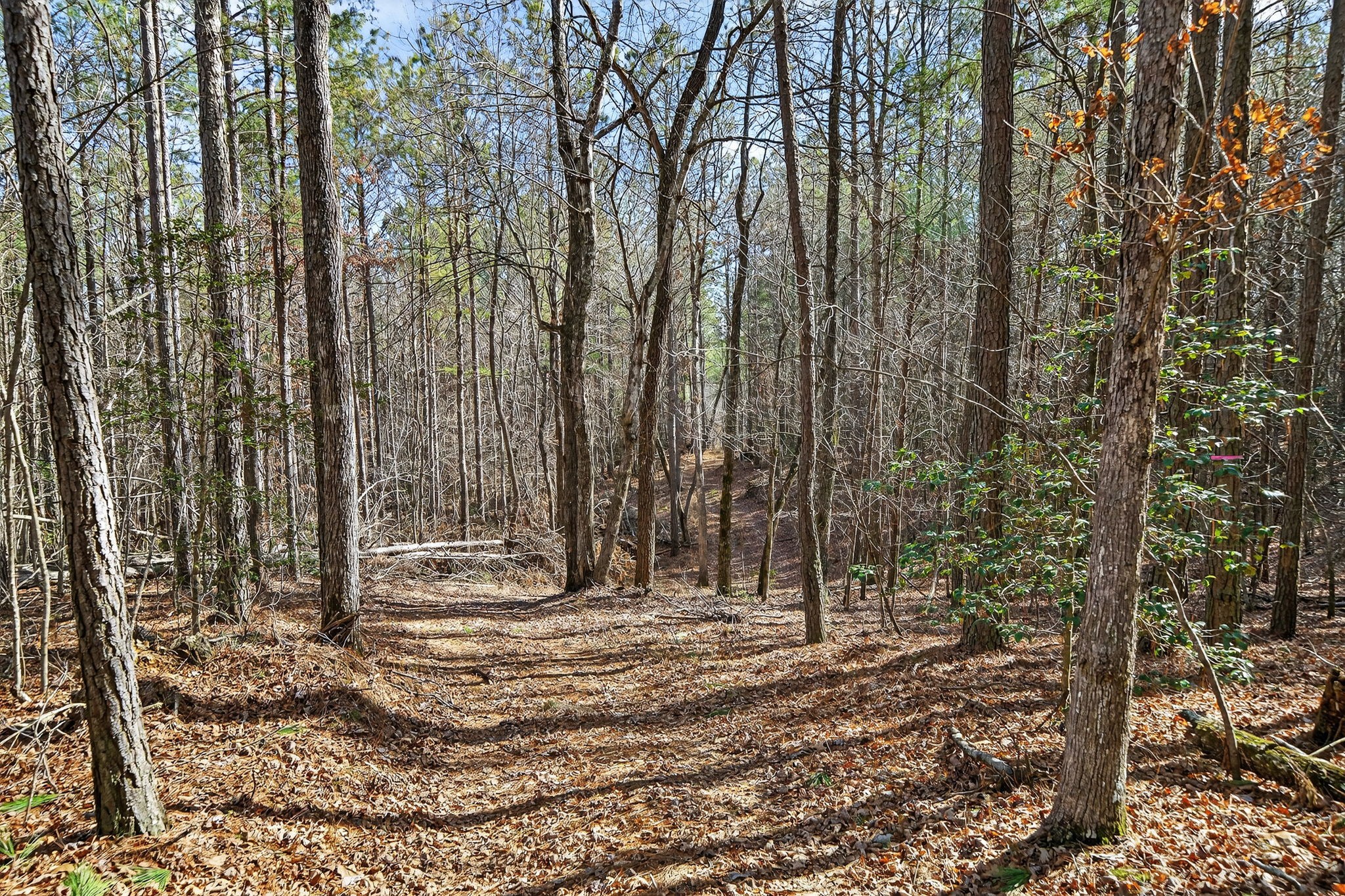 1780 Wolfhaven Road Spencer, TN 38585 - Photo 30 of 33