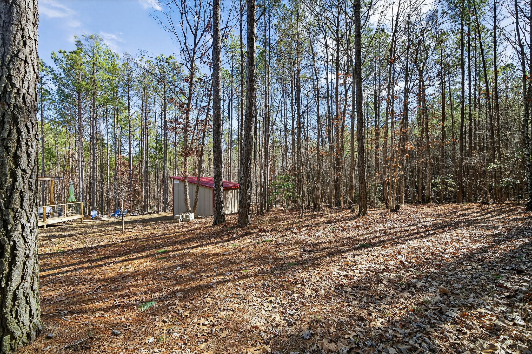 1780 Wolfhaven Road Spencer, TN 38585 - Photo 31 of 33