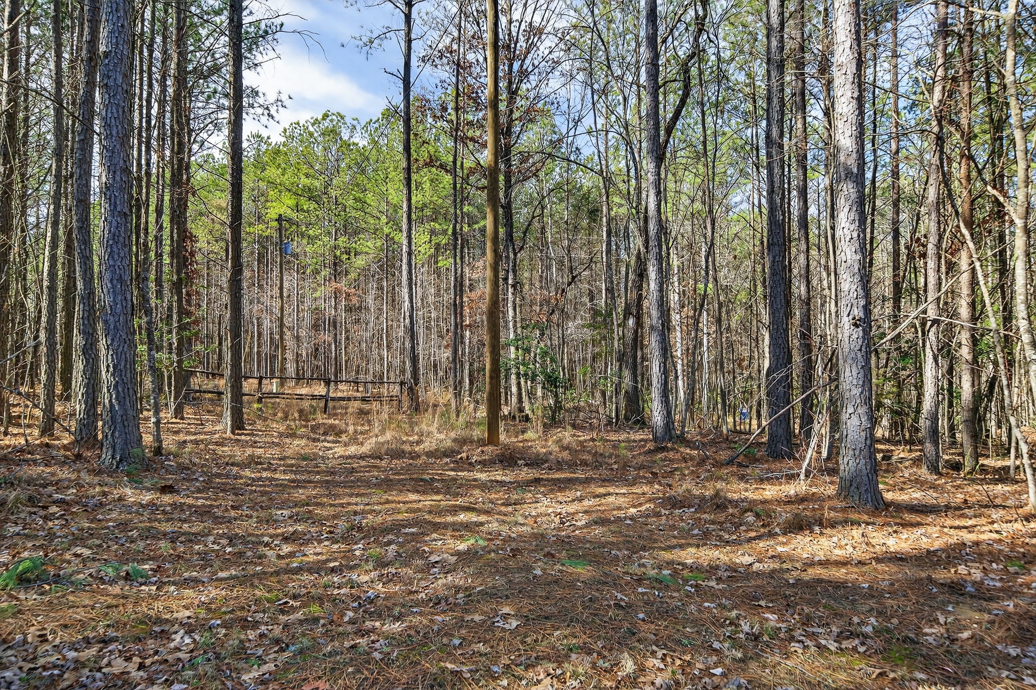 1780 Wolfhaven Road Spencer, TN 38585 - Photo 32 of 33