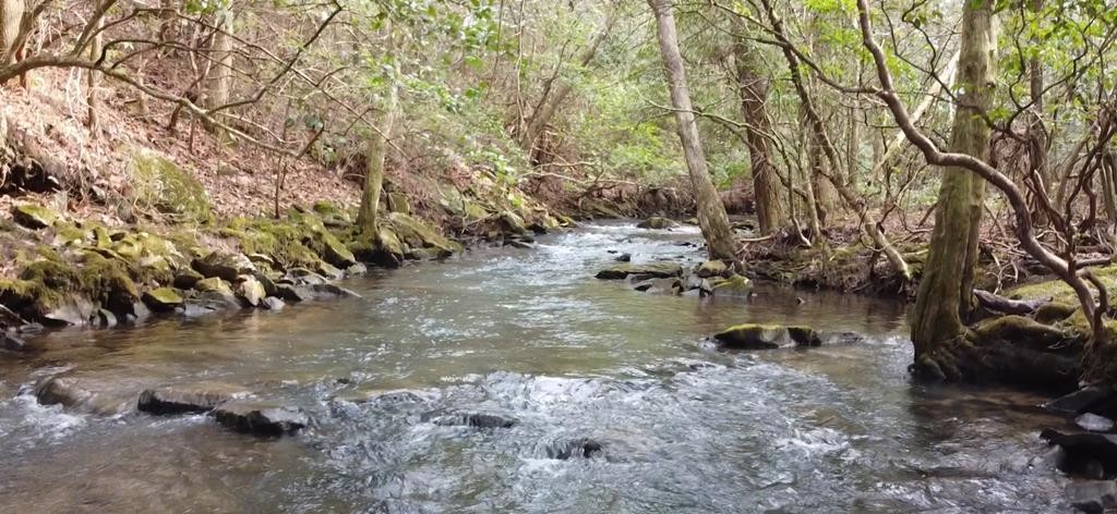 1780 Wolfhaven Road Spencer, TN 38585 - Photo 33 of 33