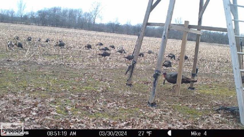 0 Brennan Road Avoca, MI 48006 - Photo 38 of 38